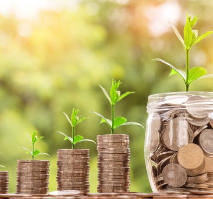 Quel est le meilleur rapport qualité-prix pour des chaussures de randonnée ?