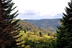 Randonnée au cœur de la montagne : découvrez la Beauté Naturelle des Vosges