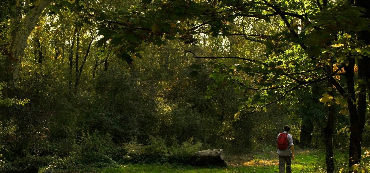 Découvrez notre top 5 des randonnées autour de Lyon