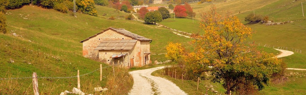 Idées de randonnées pour ce week-end, profitez à fond de l'été indien !