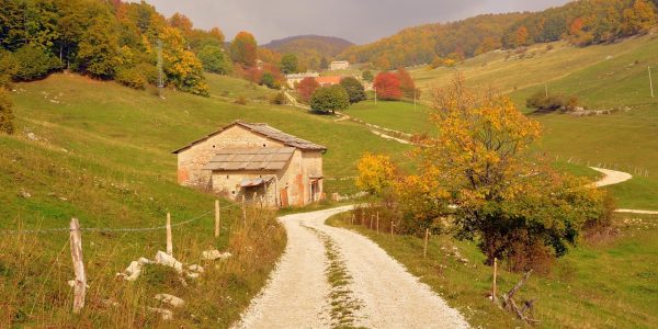 Idées de randonnées pour ce week-end, profitez à fond de l'été indien !