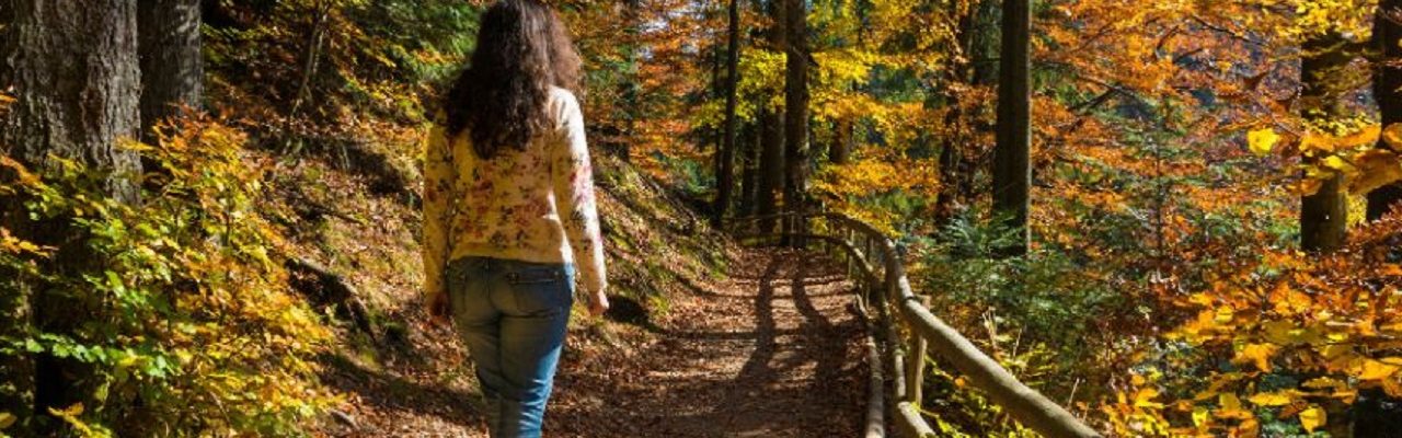 Marcher 30 min par jour a des vertus insoupçonnées !