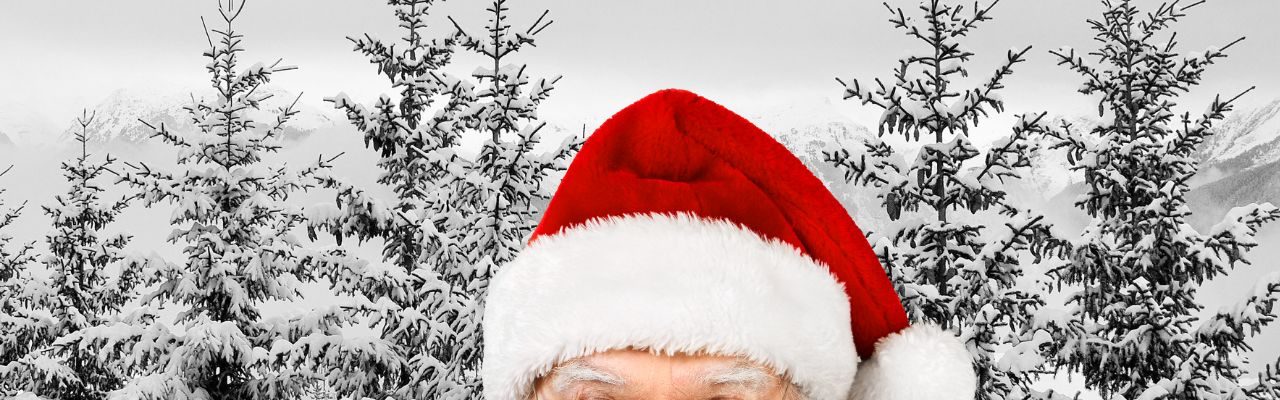 Mon beau sapin, roi des forêt et bien plus qu'un simple arbre de Noël