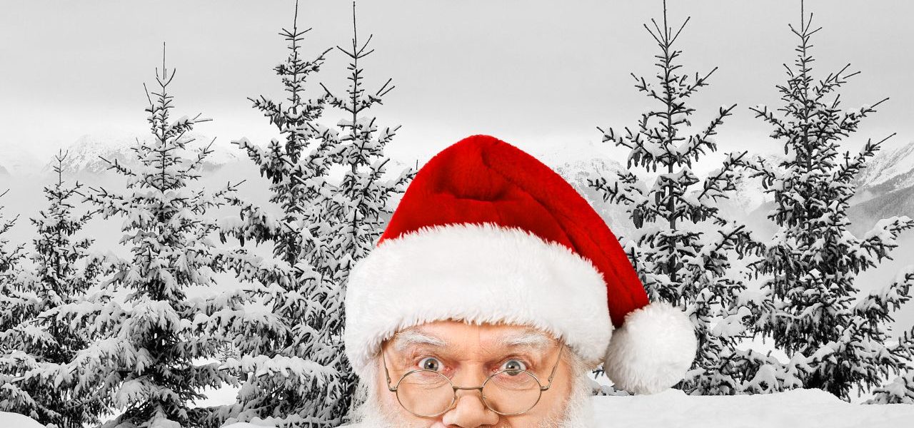 Mon beau sapin, roi des forêt et bien plus qu'un simple arbre de Noël