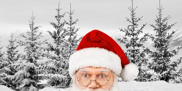 Mon beau sapin, roi des forêt et bien plus qu'un simple arbre de Noël