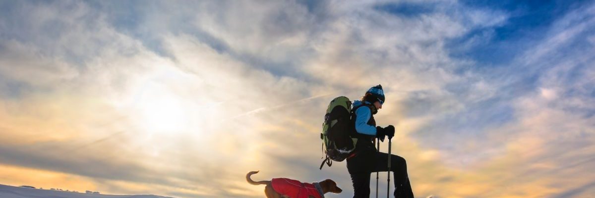 Découvrez comment la randonnée en raquette peut transformer votre hiver en aventure épique !