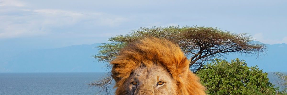 Ce pays, terre des plus grands chasseurs africains, supprime le Visa pour les Français